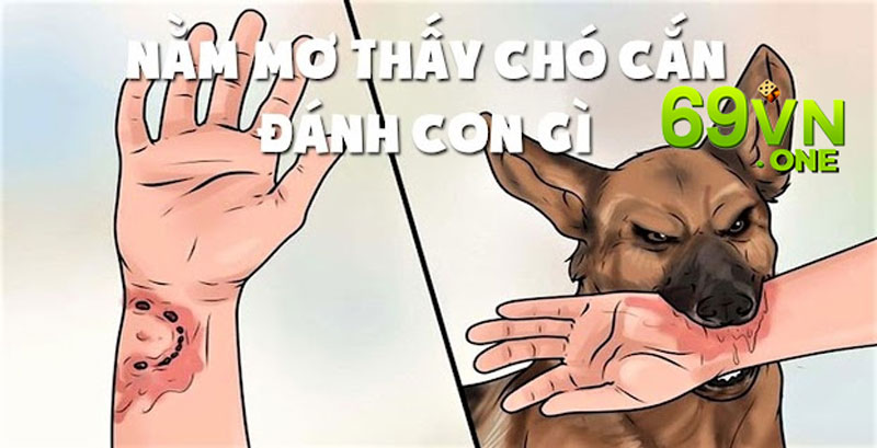 mơ thấy chó cắn 